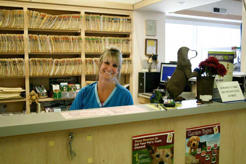 Dog & Cat Veterinarians in San Jose